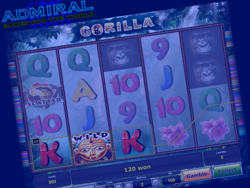 Gorilla darmowe hot spot